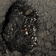 Illustration for article titled University Granted $6.5 Million To Develop Drones That Fix Potholes